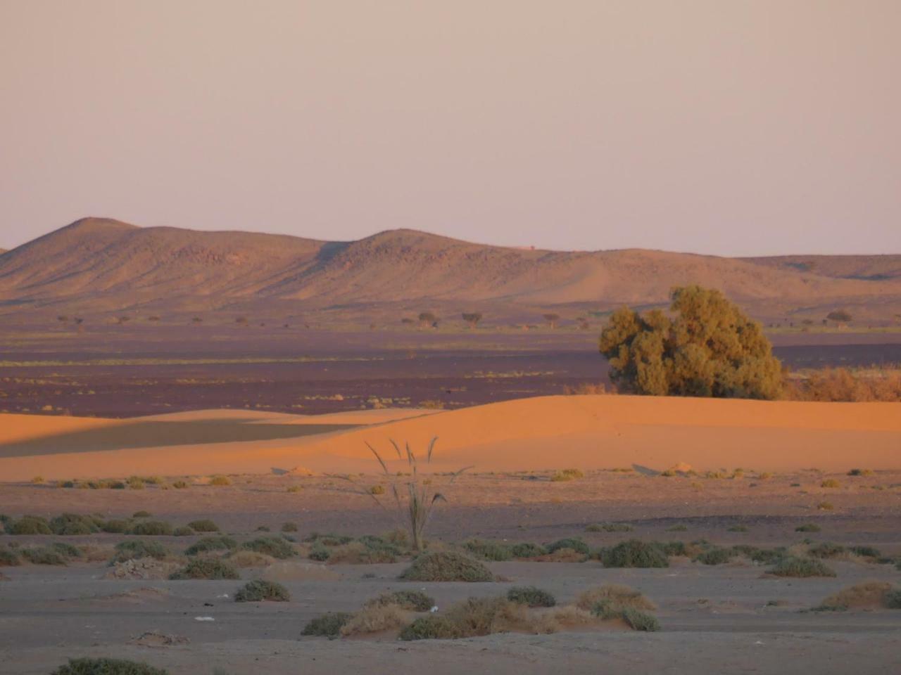 Camel Bivouac מרזאוגה מראה חיצוני תמונה